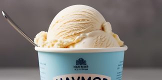 Havmor Ice Cream: A Legacy of Sweetness and Innovation havmor ice cream