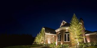 Professional Christmas Light Installation Services in Fairfax for Every Home Christmas light installation service in Fairfax