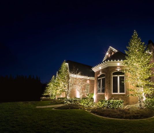 Professional Christmas Light Installation Services in Fairfax for Every Home Christmas light installation service in Fairfax