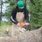 Practical And Effective Options For Safe And Easy Stump Removal Solutions In Poinciana Durham's Tree Service