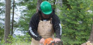 Practical And Effective Options For Safe And Easy Stump Removal Solutions In Poinciana Durham's Tree Service